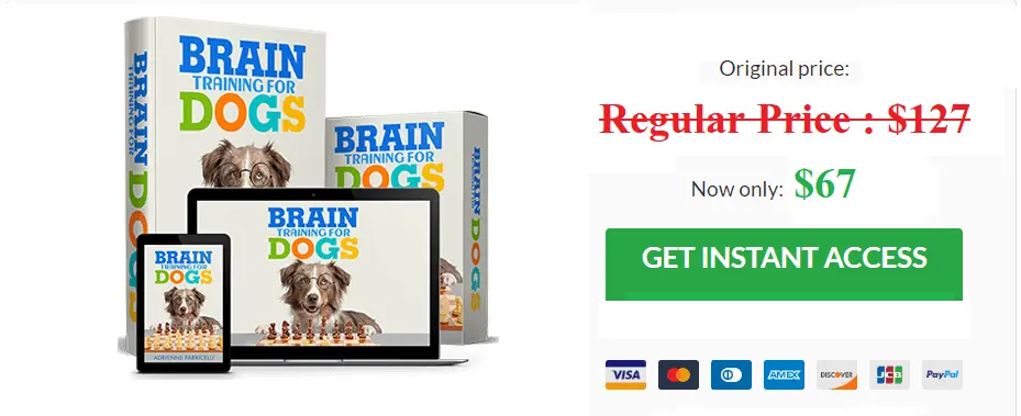 Brain Trainings For Dogs